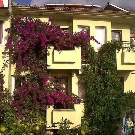 Hotel Leda 3*